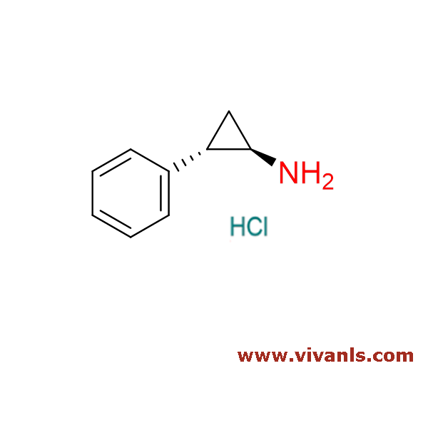 Chiral Standards-(+) Tranylcypromine-1658225429.png